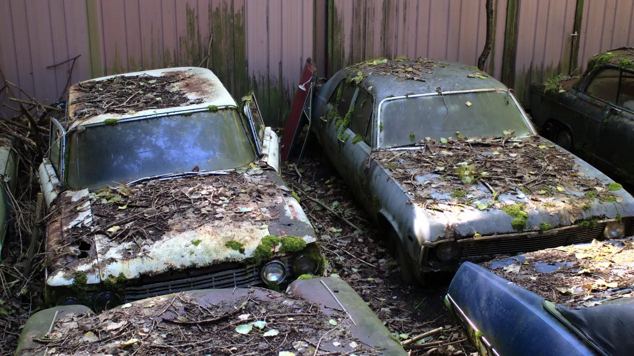 Two abandoned cars covered in leaves and debris